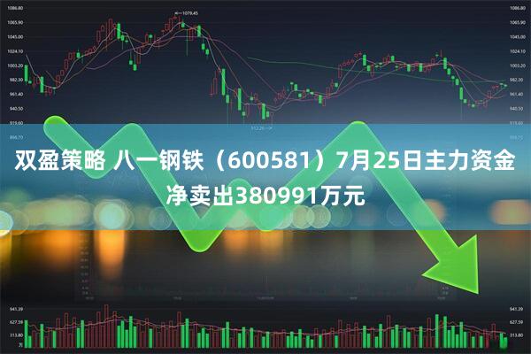 双盈策略 八一钢铁(600581)7月25日主力资金净卖出380991万元