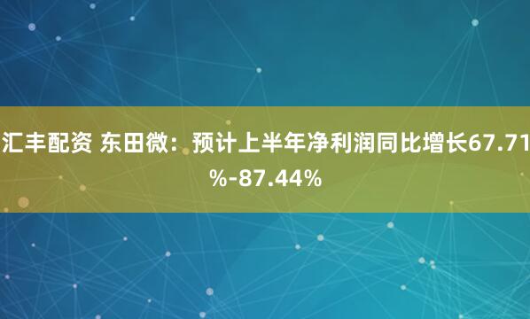 汇丰配资 东田微:预计上半年净利润同比增长67.71%-87.44%